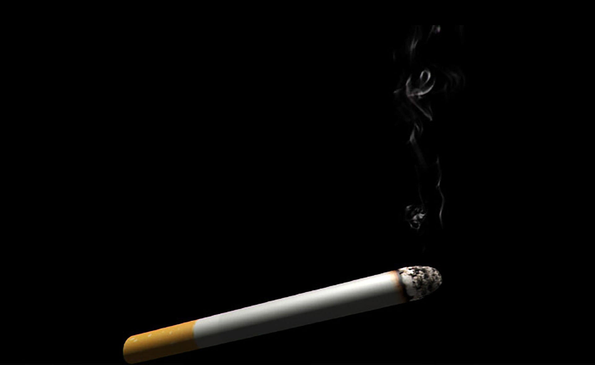 define cigarette pants Cigarette Trousers vs Palazzo Pants: Style Guide define cigarette pants Cigarette Trousers vs Palazzo Pants: Style Guide