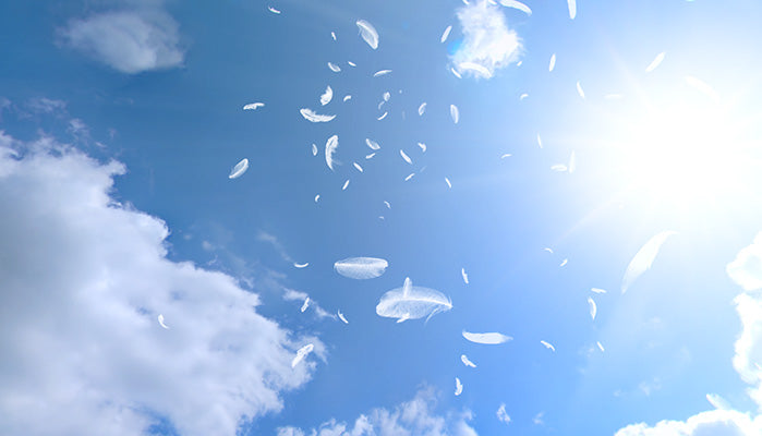 Falling Feathers