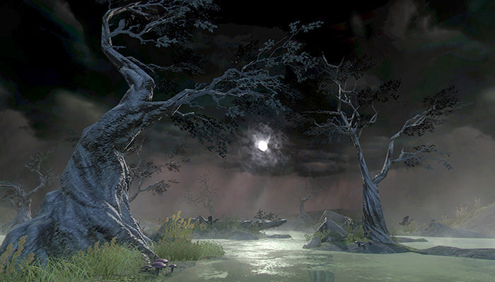 Haunted Swamp