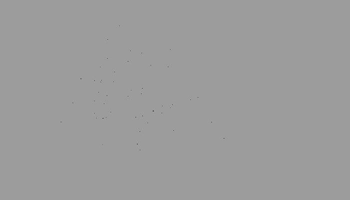 Swarm Of Flies