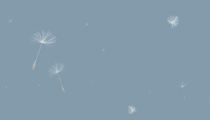 Floating Seeds and Pollen