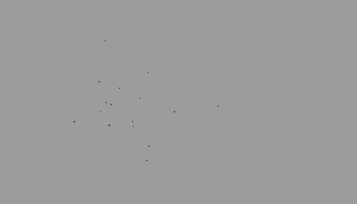 Swarm Of Flies