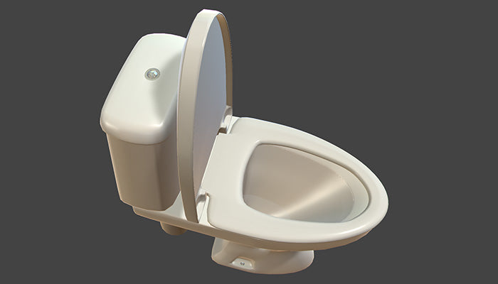 Flushing Toilet