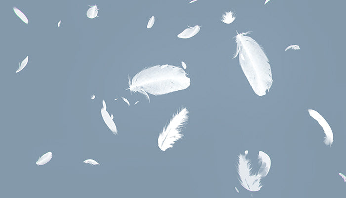 Falling Feathers