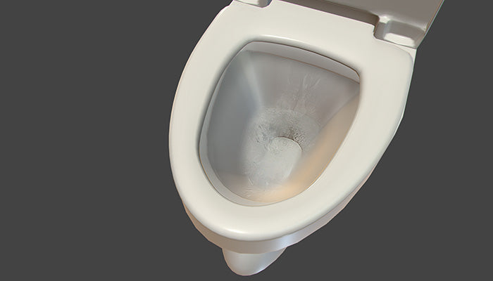 Flushing Toilet