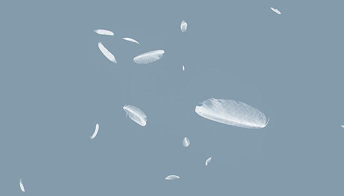 Falling Feathers