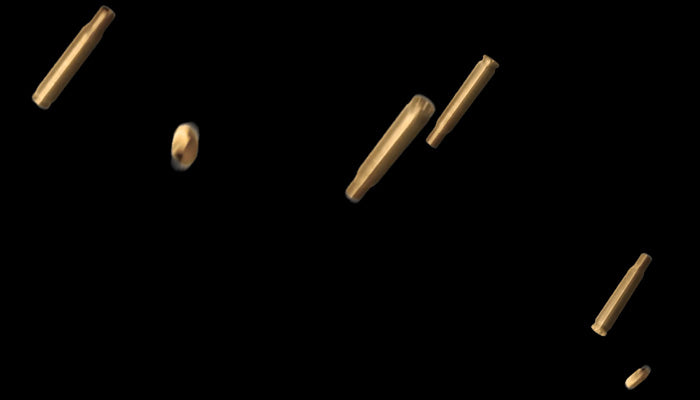 Bullet Shells