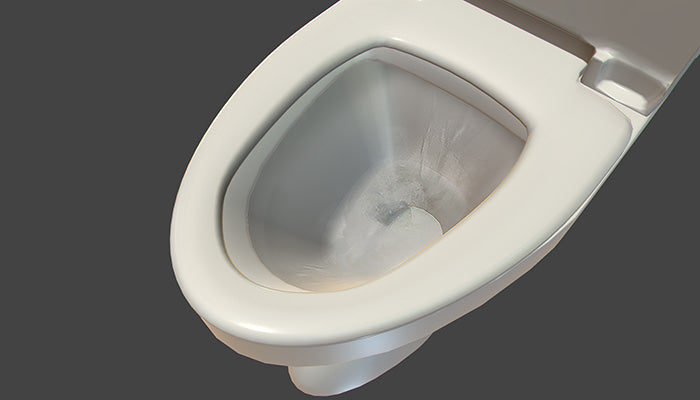 Flushing Toilet