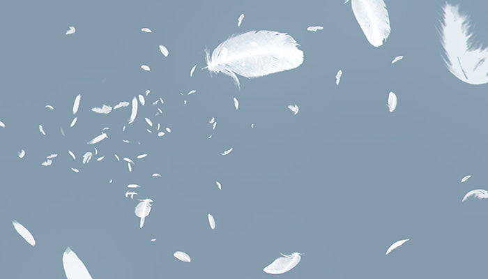Falling Feathers