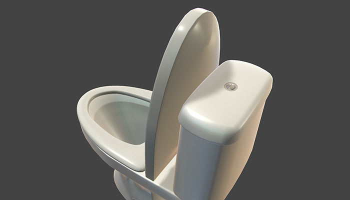 Flushing Toilet