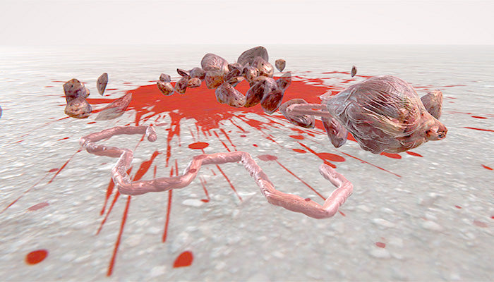 Blood & Gore Explosion