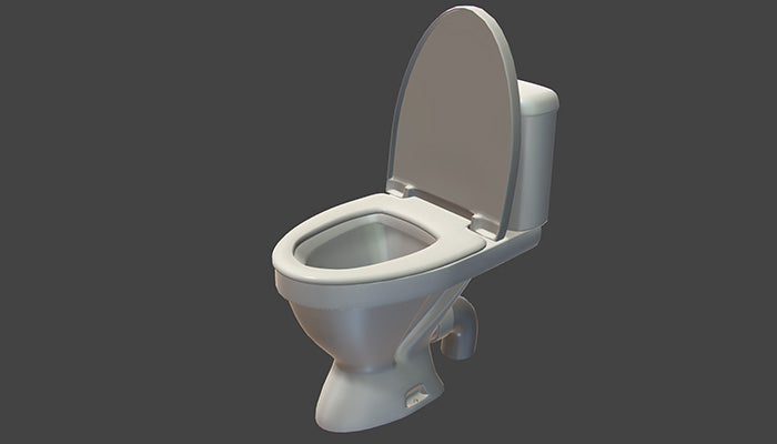 Flushing Toilet