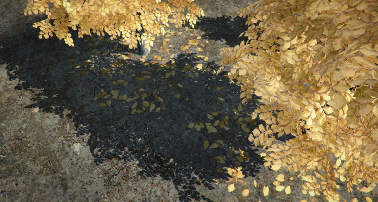 Trees with Falling Leaves