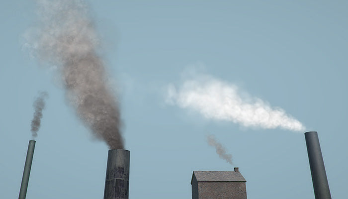 Chimney Smoke