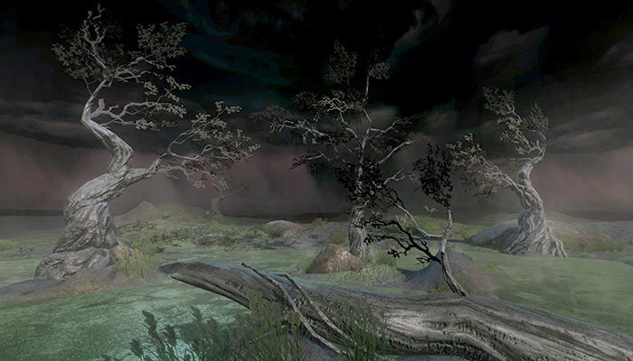 Haunted Swamp