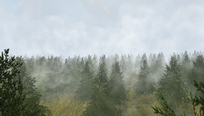 Forest Mist