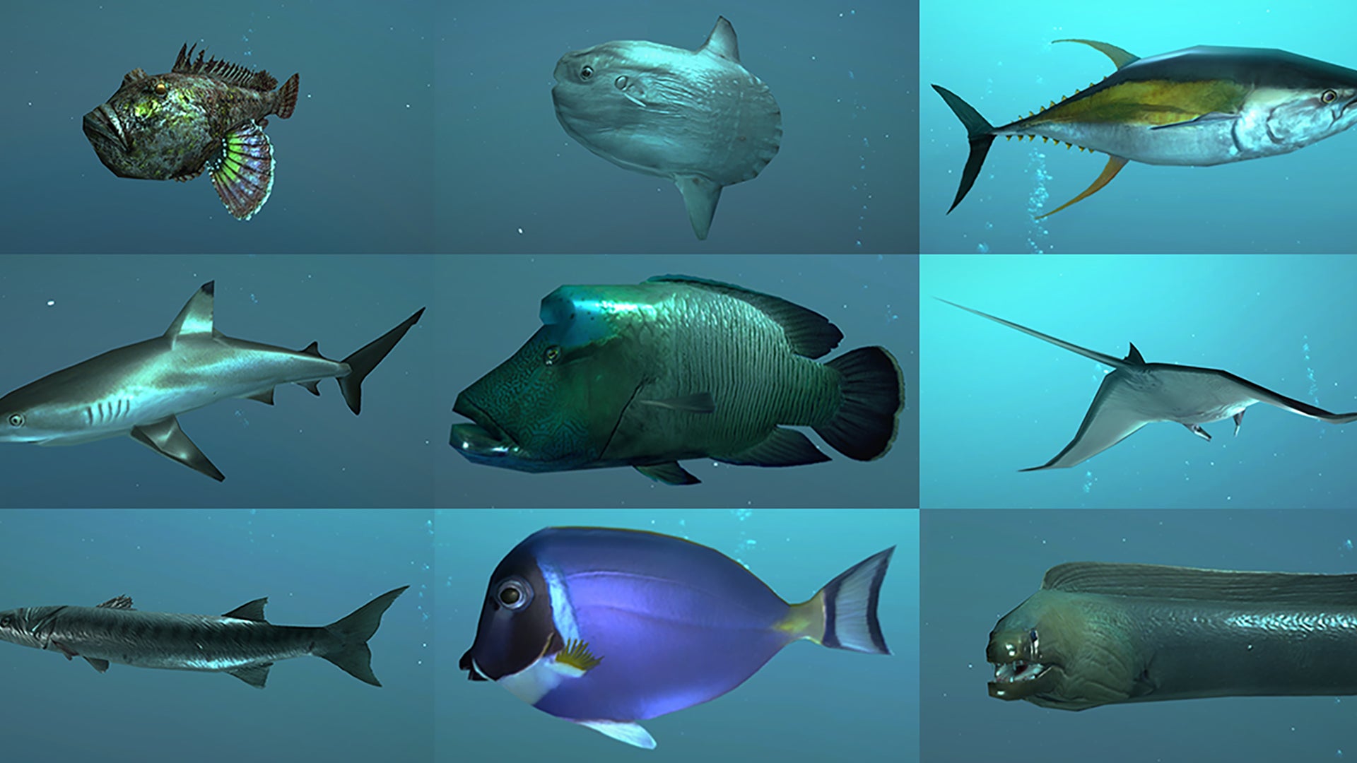 Animating Fish Realtime VFX Store