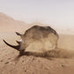 Ground Dust VFX