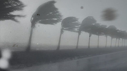 Hurricane Wind FX