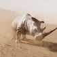 Ground Dust VFX