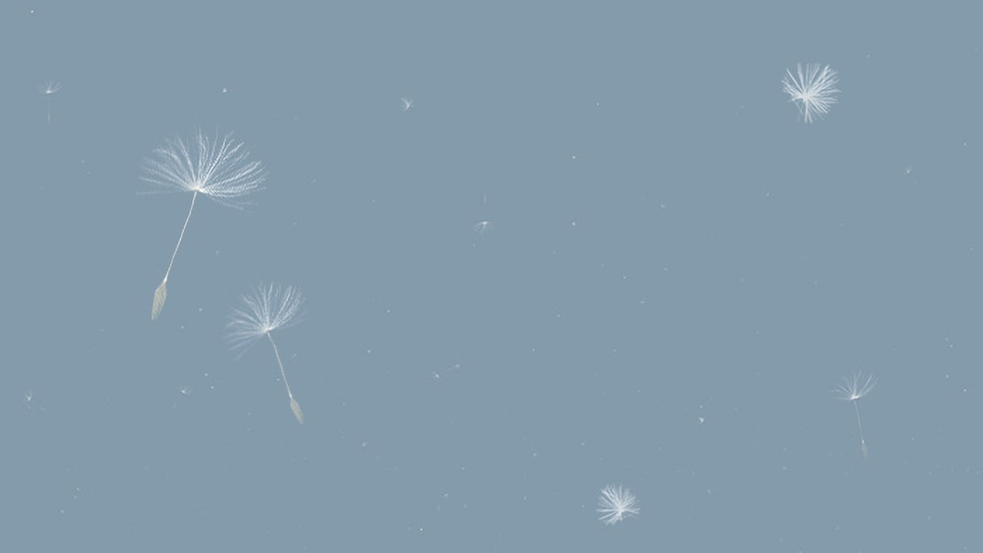 Floating Seeds and Pollen – Realtime VFX Store