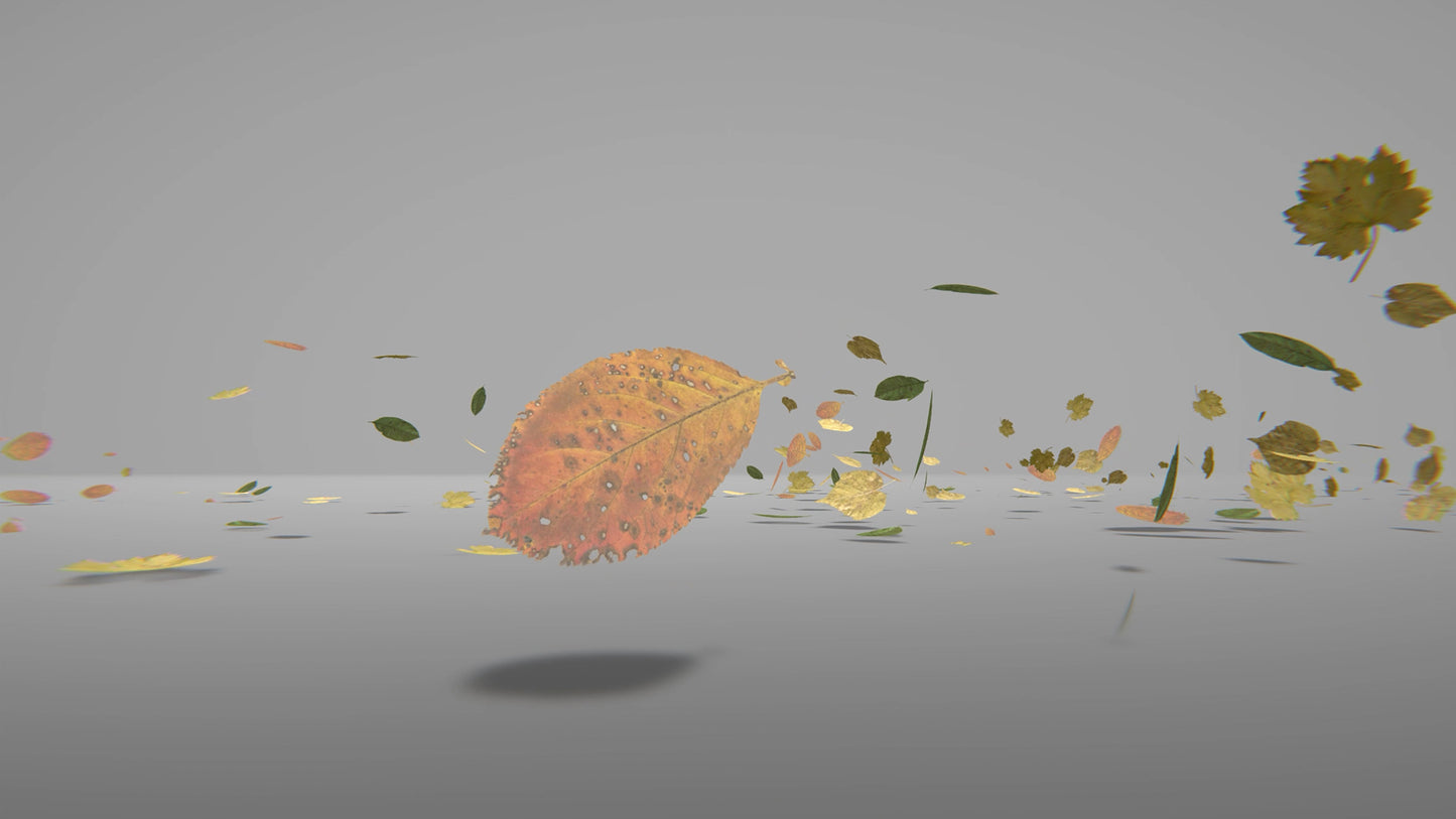 Blowing Leaves