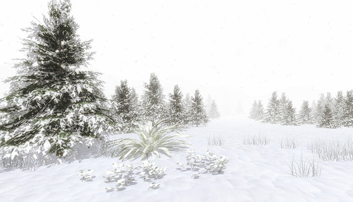 Snow Environment Pack