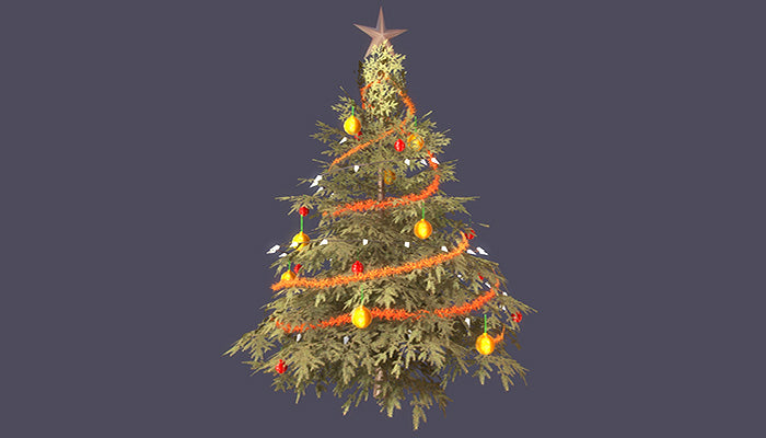 Christmas Spruce Tree