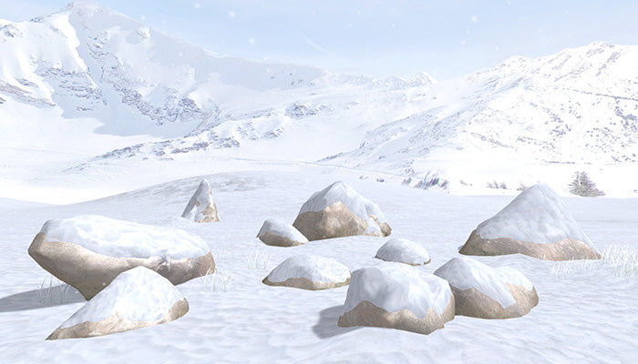 Snow Environment Pack