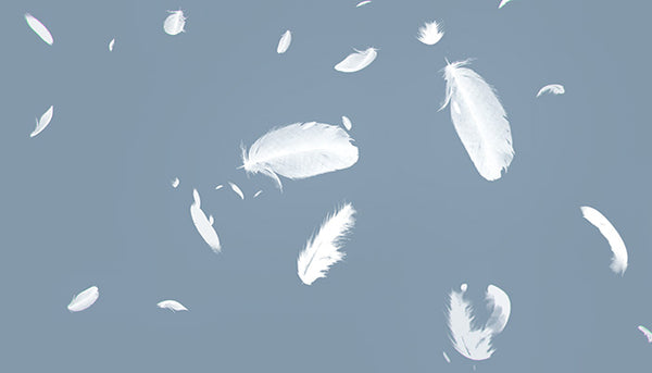 Falling Feathers – Realtime VFX Store