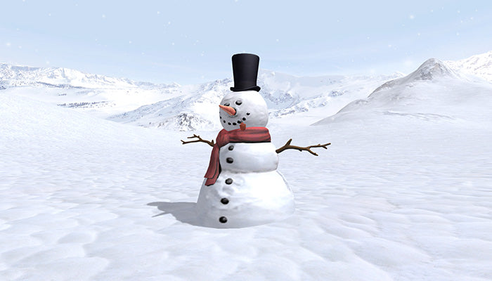 Snow Environment Pack