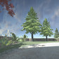 Garden Assets And FX